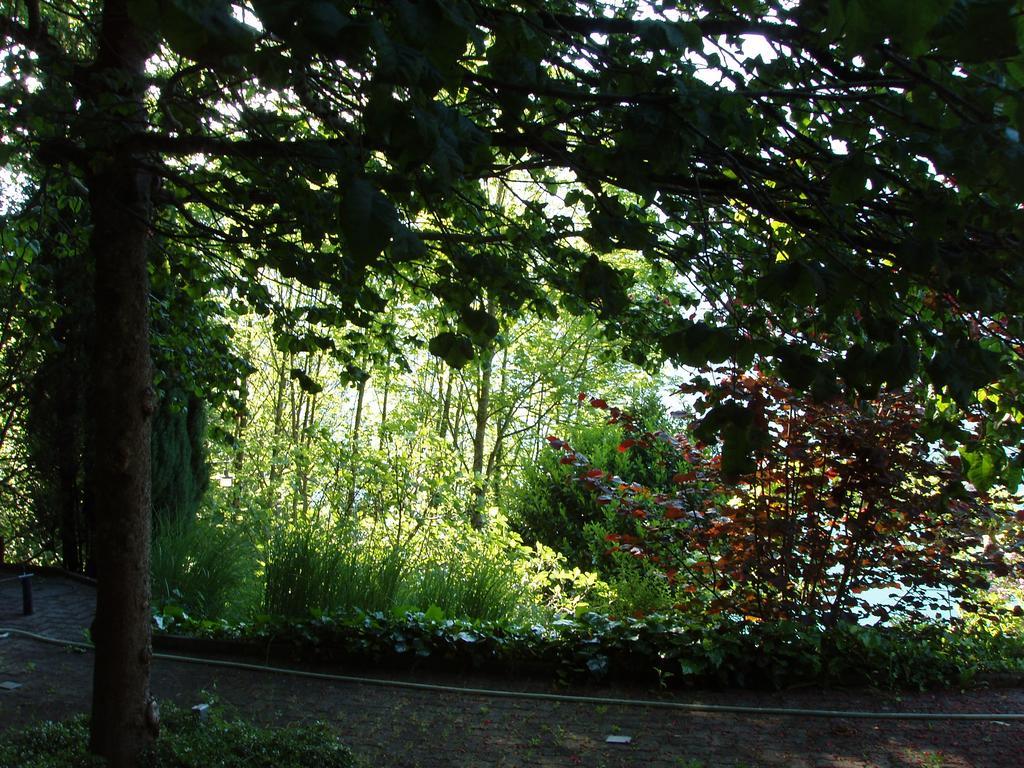 Ferienwohnung Selinda Niederried bei Interlaken エクステリア 写真